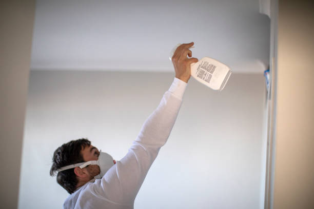 Best Preventive Mold Services in Reston, VA