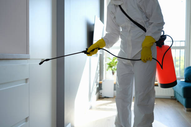 Best Kitchen Mold Remediation in Reston, VA