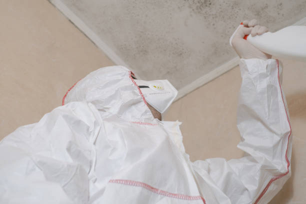 Best Crawl Space Mold Remediation in Reston, VA